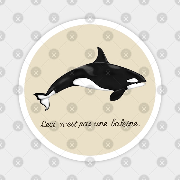 This Is Not a Whale, It's an Orca! Magnet by original84collective